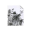 Picture of Black Daisy II _GroupedProduct_Rectangle_Portrait_Unframed_Print_Only_