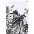 Picture of Black Daisy II _GroupedProduct_Rectangle_Portrait_Unframed_Print_Only_