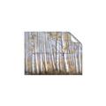 Picture of Birch Tree (yellow leaf) _GroupedProduct_Rectangle_Landscape_Unframed_Print_Only_