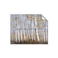 Picture of Birch Tree (yellow leaf) _GroupedProduct_Rectangle_Landscape_Unframed_Print_Only_