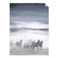 Picture of Running Horse _GroupedProduct_Rectangle_Portrait_Unframed_Print_Only_
