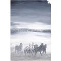 Picture of Running Horse _GroupedProduct_Rectangle_Portrait_Unframed_Print_Only_