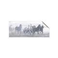 Picture of Running Horse I  _GroupedProduct_Panel_Landscape_Unframed_Print_Only_