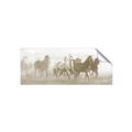 Picture of Running Horse I  _GroupedProduct_Panel_Landscape_Unframed_Print_Only_