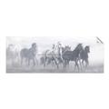 Picture of Running Horse I  _GroupedProduct_Panel_Landscape_Unframed_Print_Only_