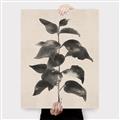 Picture of Black Linen Leaves II _GroupedProduct_Rectangle_Portrait_Canvas_