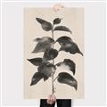 Picture of Black Linen Leaves II _GroupedProduct_Rectangle_Portrait_Canvas_