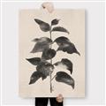Picture of Black Linen Leaves II _GroupedProduct_Rectangle_Portrait_Canvas_