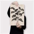 Picture of Black Linen Leaves IV _GroupedProduct_Rectangle_Portrait_Canvas_