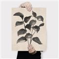 Picture of Black Linen Leaves IV _GroupedProduct_Rectangle_Portrait_Canvas_