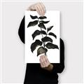 Picture of Black Leaves II _GroupedProduct_Rectangle_Portrait_Canvas_