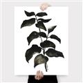 Picture of Black Leaves II _GroupedProduct_Rectangle_Portrait_Canvas_