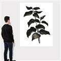 Picture of Black Leaves II _GroupedProduct_Rectangle_Portrait_Canvas_