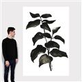 Picture of Black Leaves II _GroupedProduct_Rectangle_Portrait_Canvas_