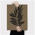 Picture of Silhouette Leaves _GroupedProduct_Rectangle_Portrait_Canvas_