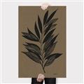 Picture of Silhouette Leaves _GroupedProduct_Rectangle_Portrait_Canvas_