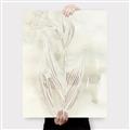 Picture of Transparent Tulip I _GroupedProduct_Rectangle_Portrait_Canvas_
