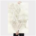Picture of Transparent Tulip I _GroupedProduct_Rectangle_Portrait_Canvas_