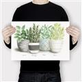 Picture of Pots With Flower _GroupedProduct_Rectangle_Landscape_Canvas_