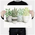 Picture of Pots With Flower _GroupedProduct_Rectangle_Landscape_Canvas_