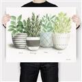 Picture of Pots With Flower _GroupedProduct_Rectangle_Landscape_Canvas_