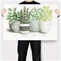 Picture of Pots With Flower _GroupedProduct_Rectangle_Landscape_Canvas_