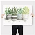 Picture of Pots With Flower _GroupedProduct_Rectangle_Landscape_Canvas_
