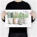 Picture of Pots With Flower I _GroupedProduct_Rectangle_Landscape_Canvas_