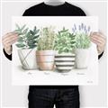 Picture of Pots With Flower I _GroupedProduct_Rectangle_Landscape_Canvas_