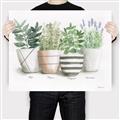 Picture of Pots With Flower I _GroupedProduct_Rectangle_Landscape_Canvas_
