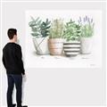 Picture of Pots With Flower I _GroupedProduct_Rectangle_Landscape_Canvas_