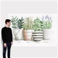 Picture of Pots With Flower I _GroupedProduct_Rectangle_Landscape_Canvas_