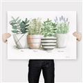 Picture of Pots With Flower I _GroupedProduct_Rectangle_Landscape_Canvas_