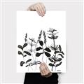Picture of Silhouette Leaves I  _GroupedProduct_Rectangle_Portrait_Canvas_