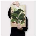 Picture of Tropical Greens _GroupedProduct_Rectangle_Portrait_Canvas_
