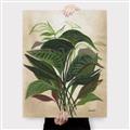 Picture of Tropical Greens _GroupedProduct_Rectangle_Portrait_Canvas_