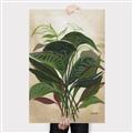 Picture of Tropical Greens _GroupedProduct_Rectangle_Portrait_Canvas_