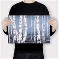 Picture of Plain White Birches _GroupedProduct_Rectangle_Landscape_Canvas_