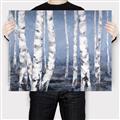 Picture of Plain White Birches _GroupedProduct_Rectangle_Landscape_Canvas_