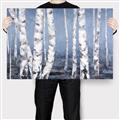 Picture of Plain White Birches _GroupedProduct_Rectangle_Landscape_Canvas_