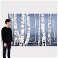 Picture of Plain White Birches _GroupedProduct_Rectangle_Landscape_Canvas_