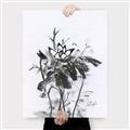Picture of Black Daisy I _GroupedProduct_Rectangle_Portrait_Canvas_