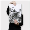 Picture of Black Daisy II _GroupedProduct_Rectangle_Portrait_Canvas_