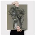 Picture of Charcoal Flower Drawing I _GroupedProduct_Rectangle_Portrait_Canvas_