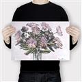 Picture of Bright Bouquet II _GroupedProduct_Rectangle_Landscape_Canvas_