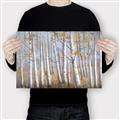 Picture of Birch Tree (yellow leaf) _GroupedProduct_Rectangle_Landscape_Canvas_