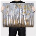 Picture of Birch Tree (yellow leaf) _GroupedProduct_Rectangle_Landscape_Canvas_