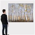 Picture of Birch Tree (yellow leaf) _GroupedProduct_Rectangle_Landscape_Canvas_