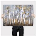 Picture of Birch Tree (yellow leaf) _GroupedProduct_Rectangle_Landscape_Canvas_