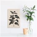 Picture of Black Linen Leaves II _GroupedProduct_Rectangle_Portrait_Canvas_